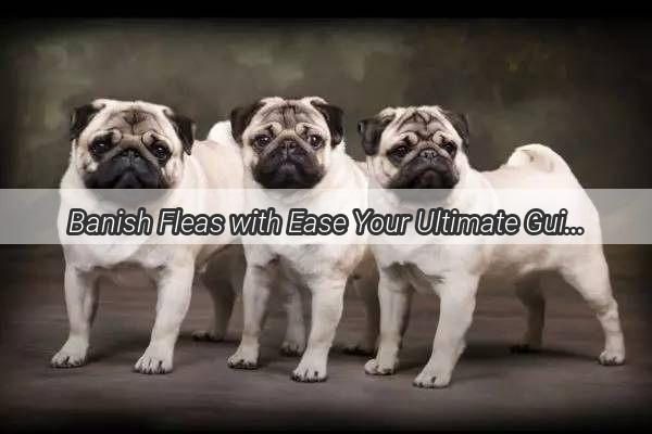 Banish Fleas with Ease Your Ultimate Guide to FleaFree Fido